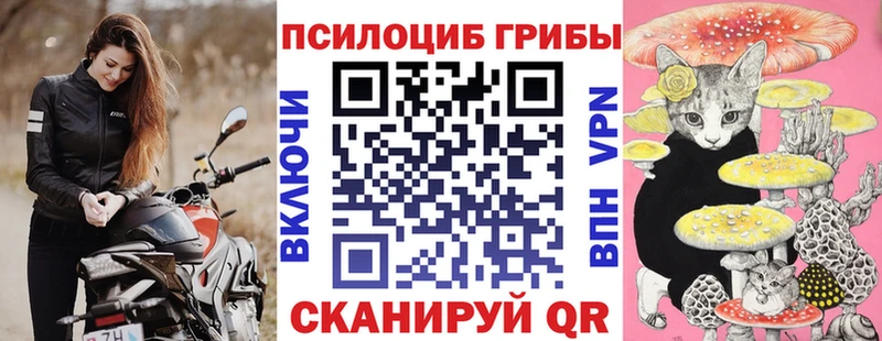 купить наркотик  Горячий Ключ  Галлюциногенные грибы MAGIC MUSHROOMS 